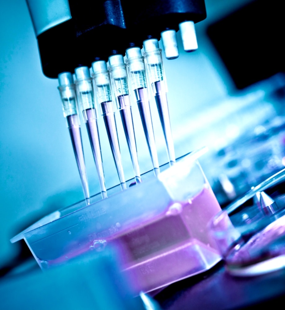 Przemysł spożywczy, napojowy, chemiczny i farmaceutyczny