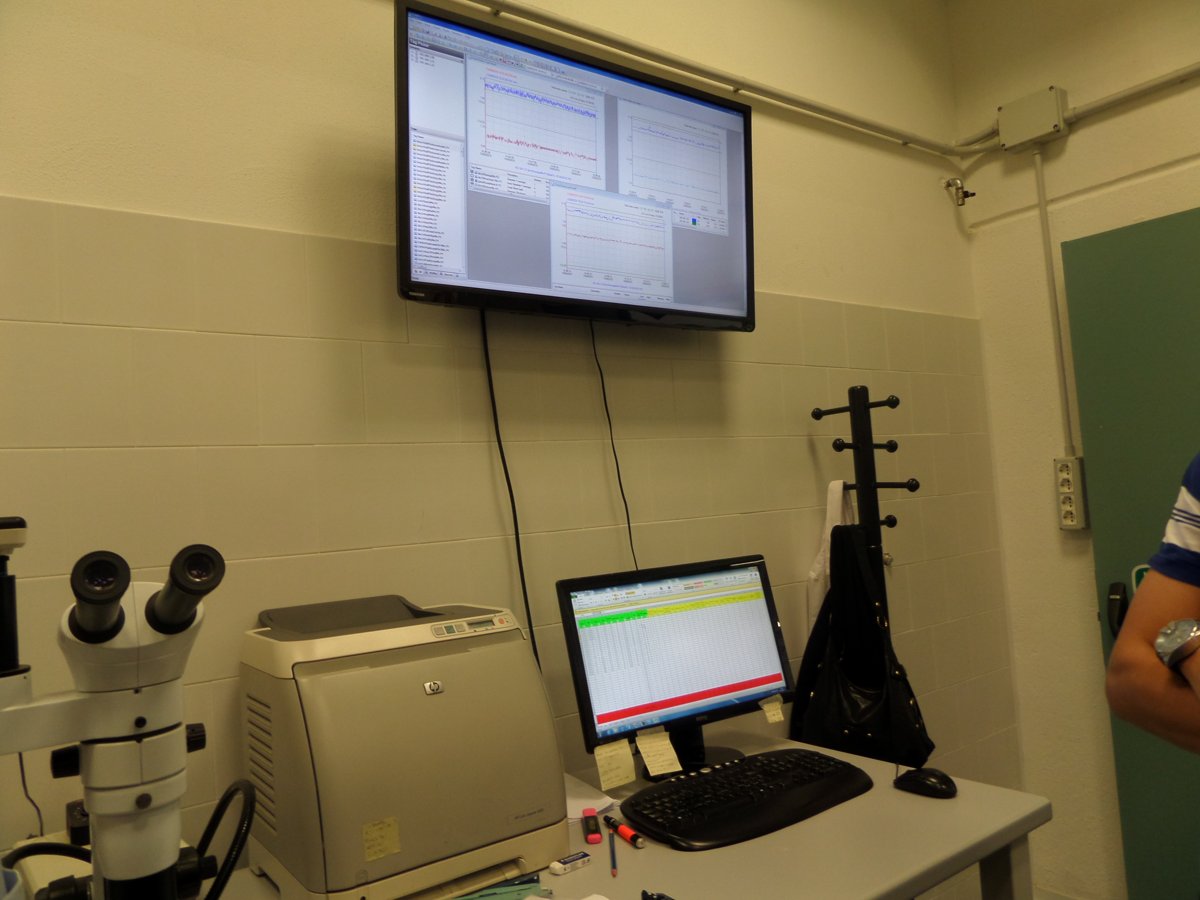 Laboratorium i analityka