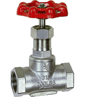 250.56ES