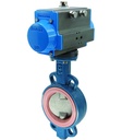 Butterfly valve with pneumatic actuator Series BUW6-DSC-D2