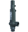 zawór bezpieczeństwa 1/2"-6-3/4"-180-Vespel-EPDM